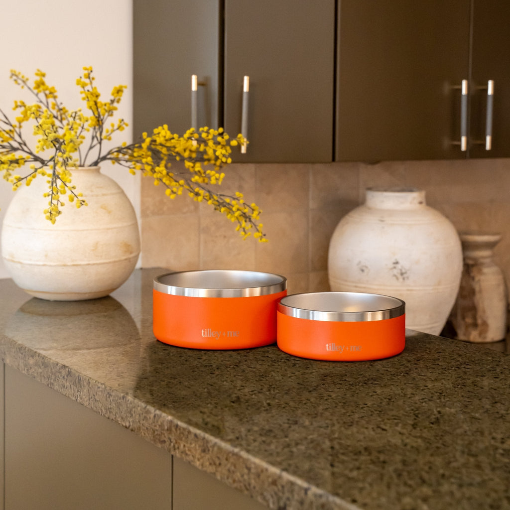 Tilley + Me Stainless Steel Pet Bowl – Non-Slip, Durable & Dishwasher Safe | 32oz and 64oz