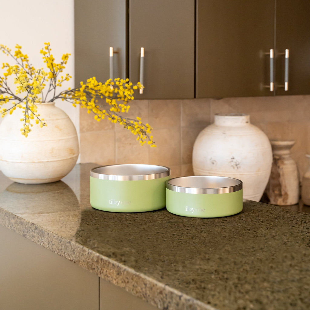 Tilley + Me Stainless Steel Pet Bowl – Non-Slip, Durable & Dishwasher Safe | 32oz and 64oz