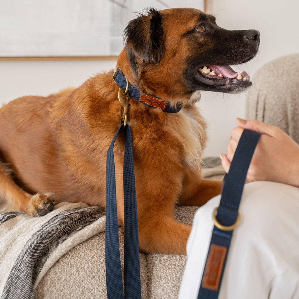 Tilley + Me Hemp Cotton Dog Leash - Durable, Sustainable, Adjustable, Lightweight & Soft