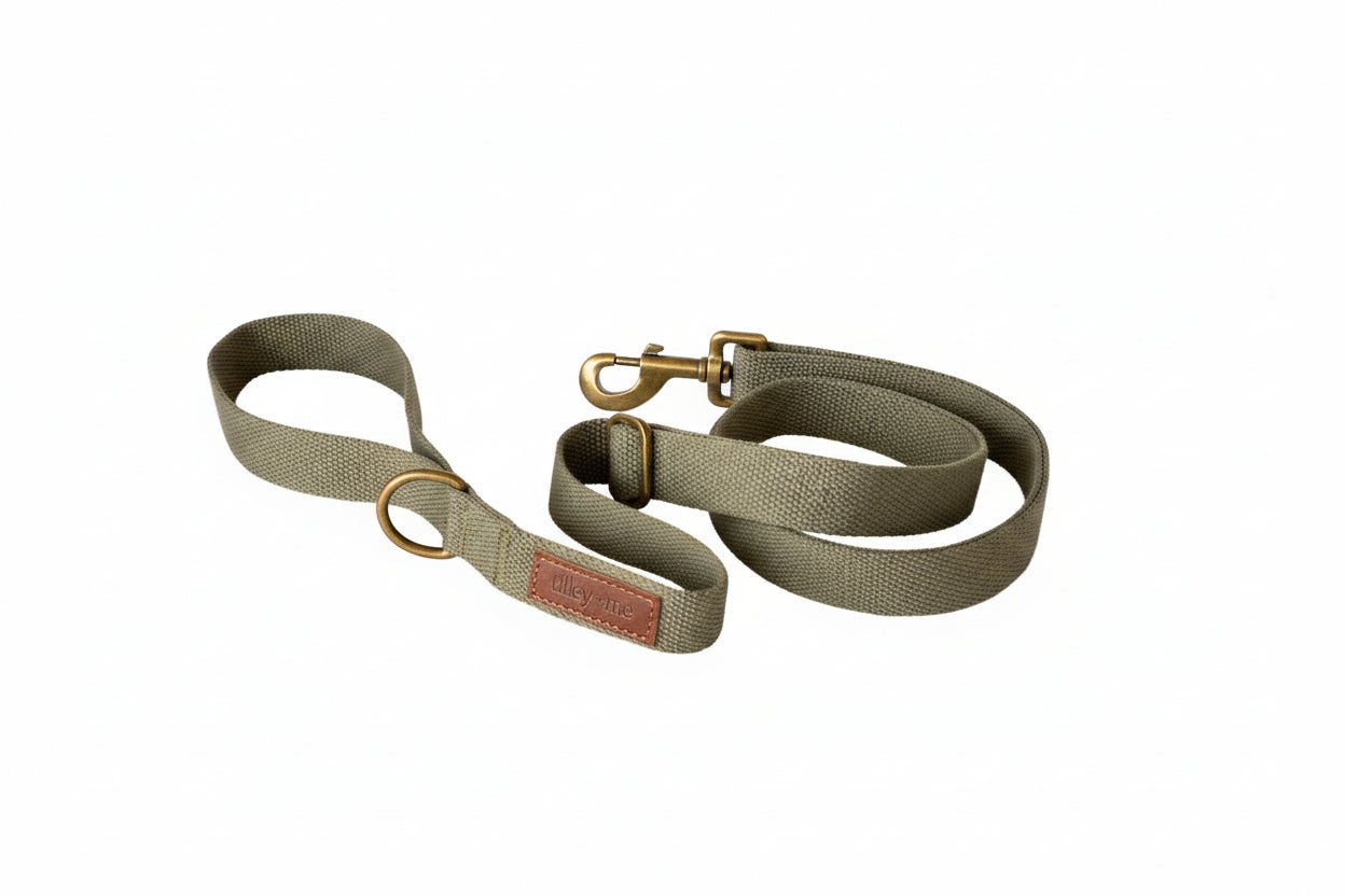 Tilley + Me Hemp Cotton Dog Leash - Durable, Sustainable, Adjustable, Lightweight & Soft