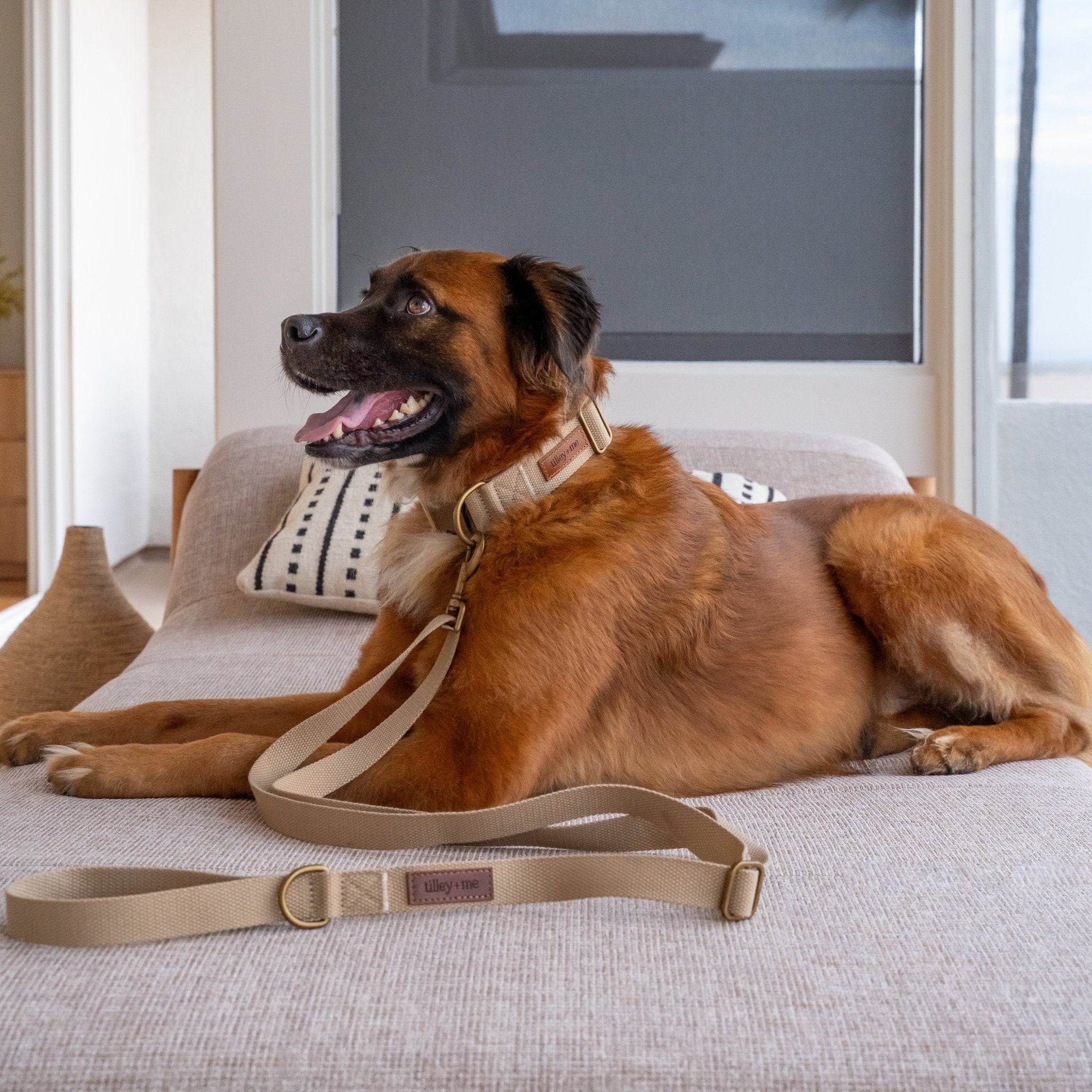 Tilley + Me Hemp Cotton Dog Leash - Durable, Sustainable, Adjustable, Lightweight & Soft