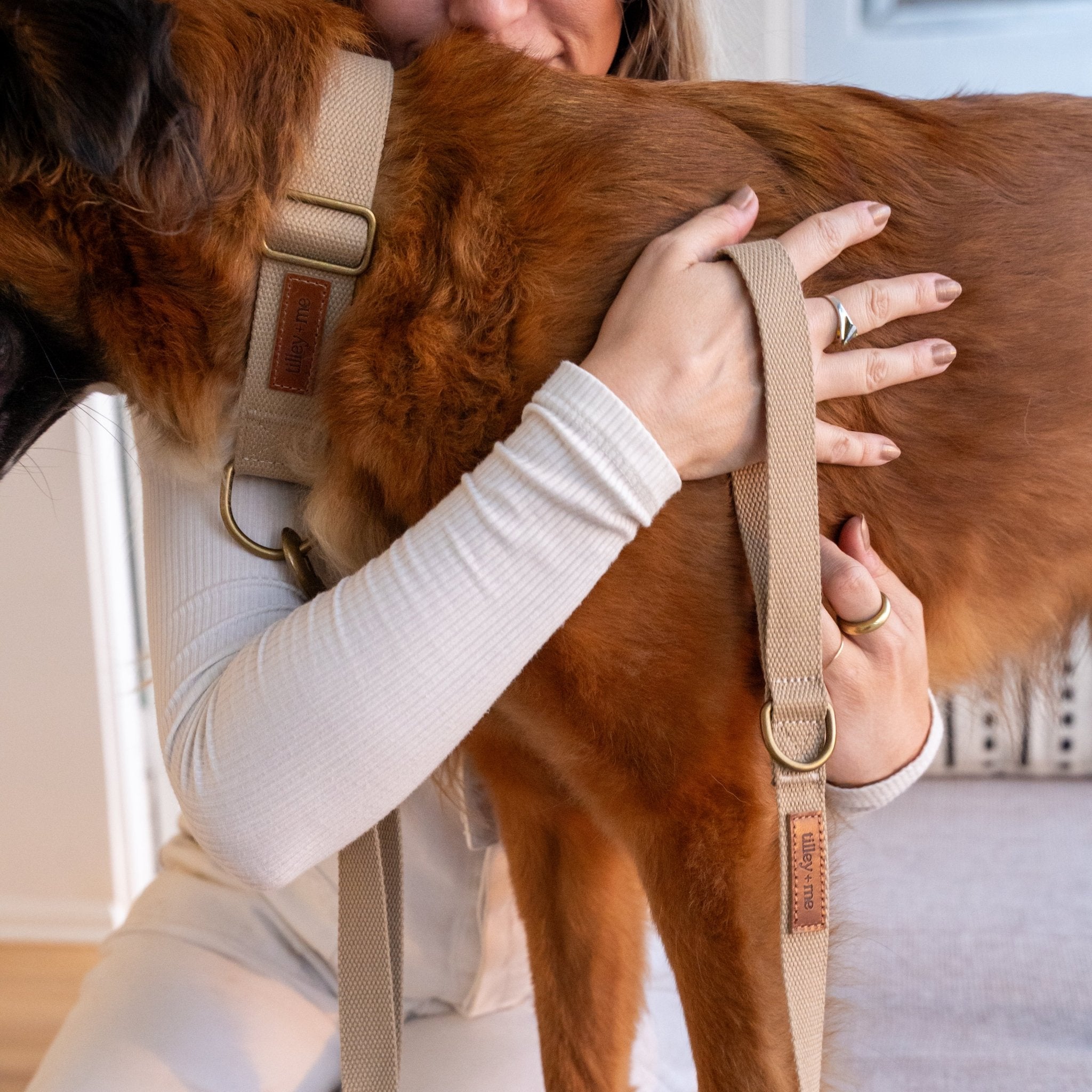 Tilley + Me Hemp Cotton Dog Collar – Durable, Adjustable, Soft – Joshua Tree