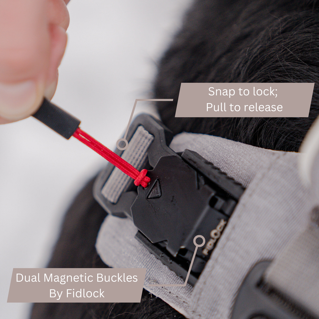 Magnetic Dog Harness - One-Hand Clip, No-Pull Design