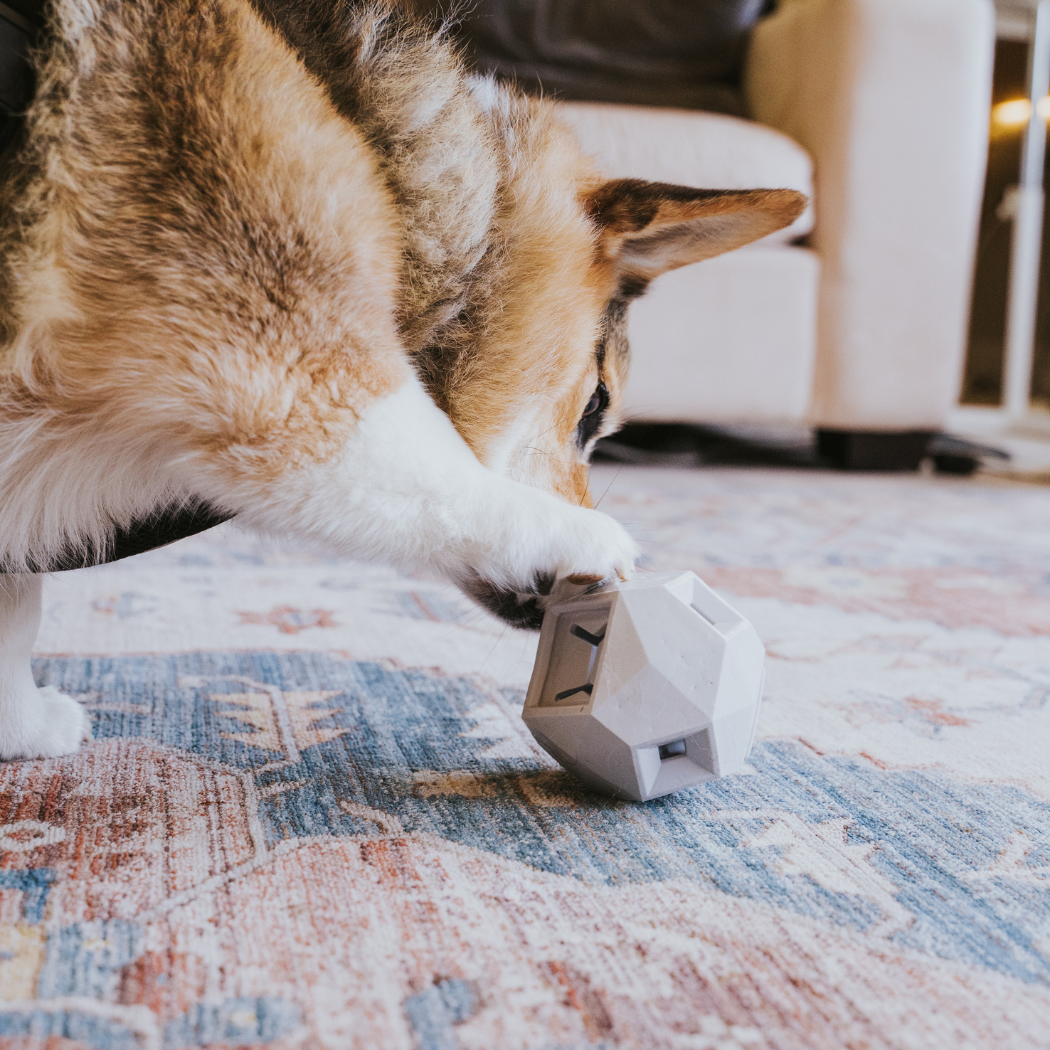 The Odin Treat Dispensing Toy For Dogs