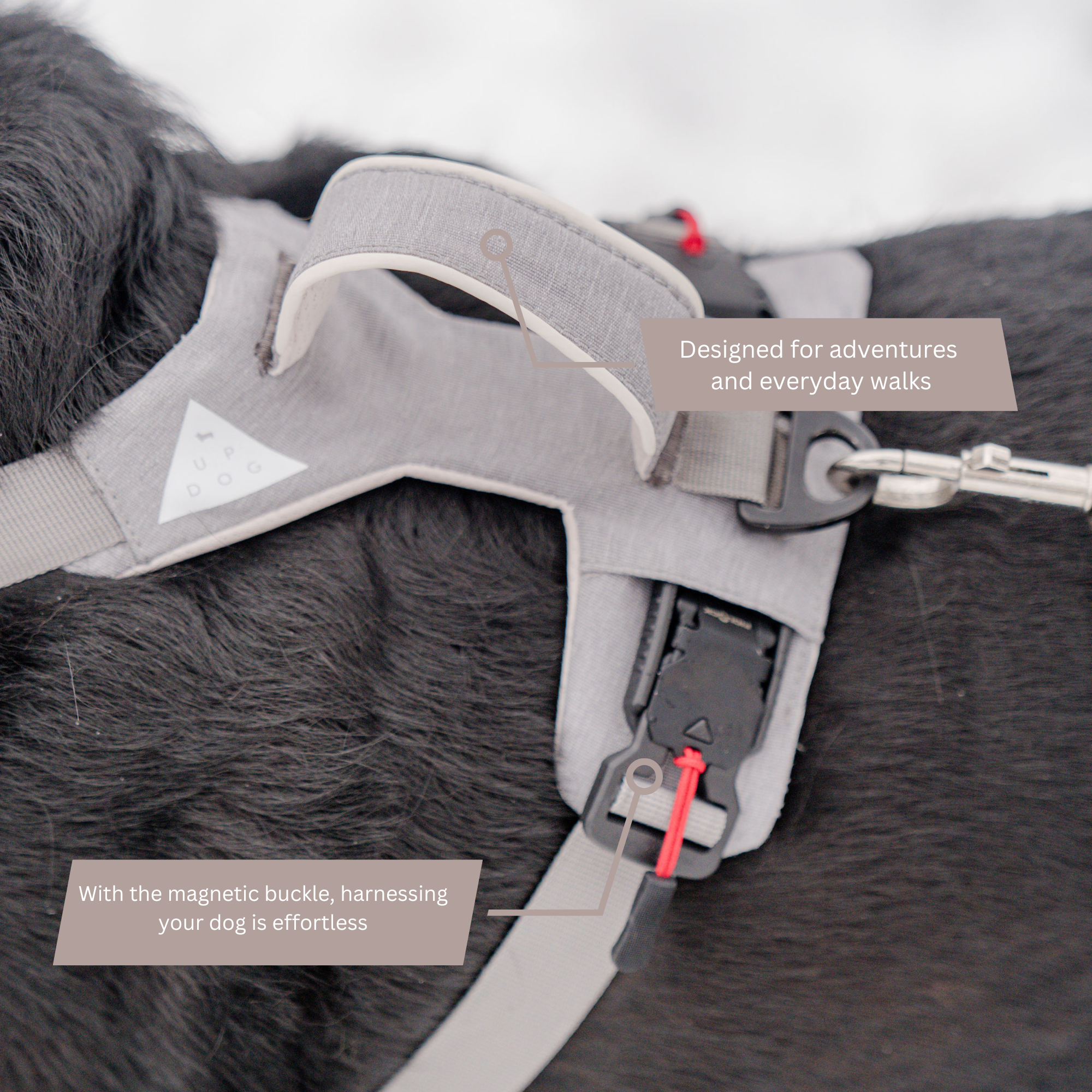Magnetic Dog Harness - One-Hand Clip, No-Pull Design