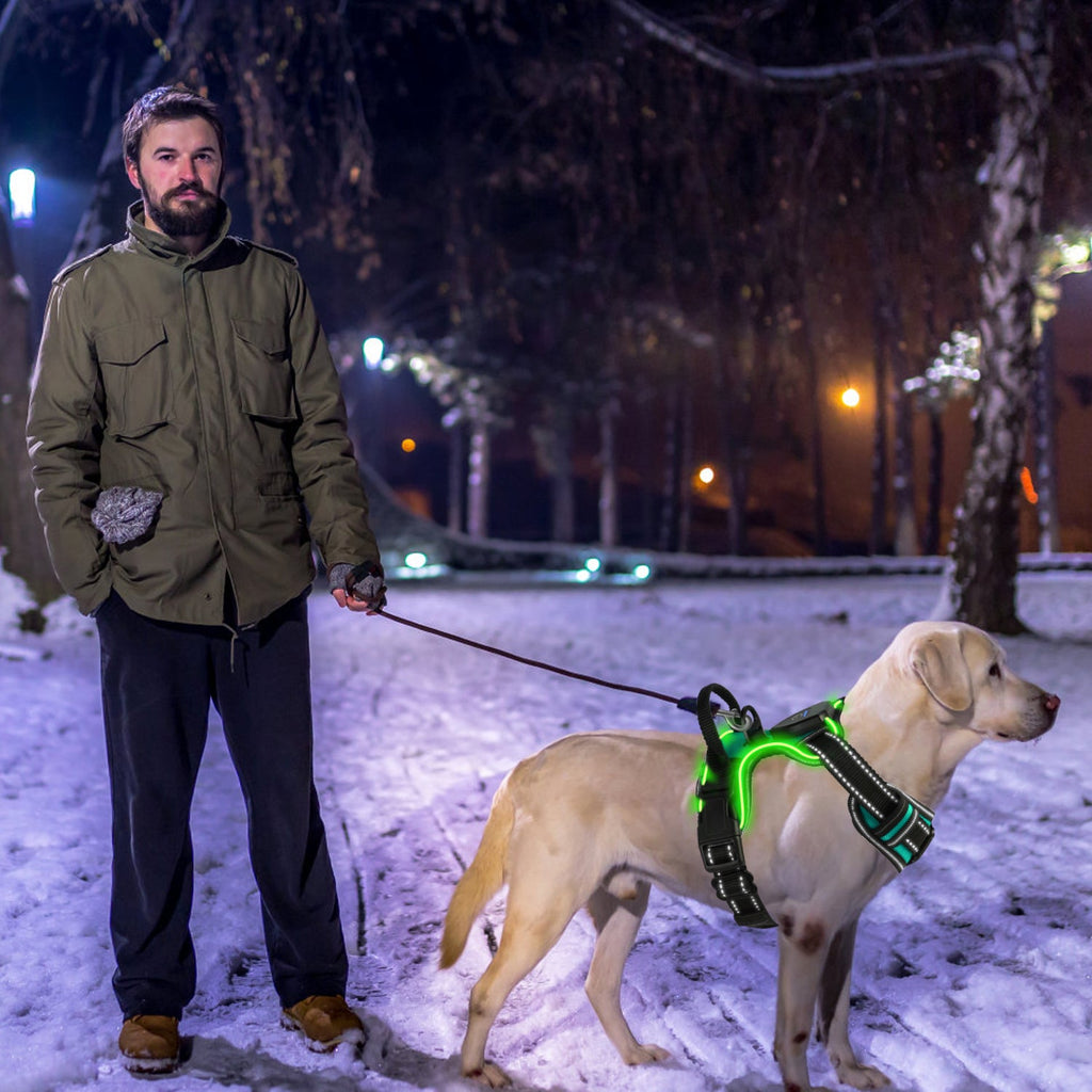 Light Up Dog Harness