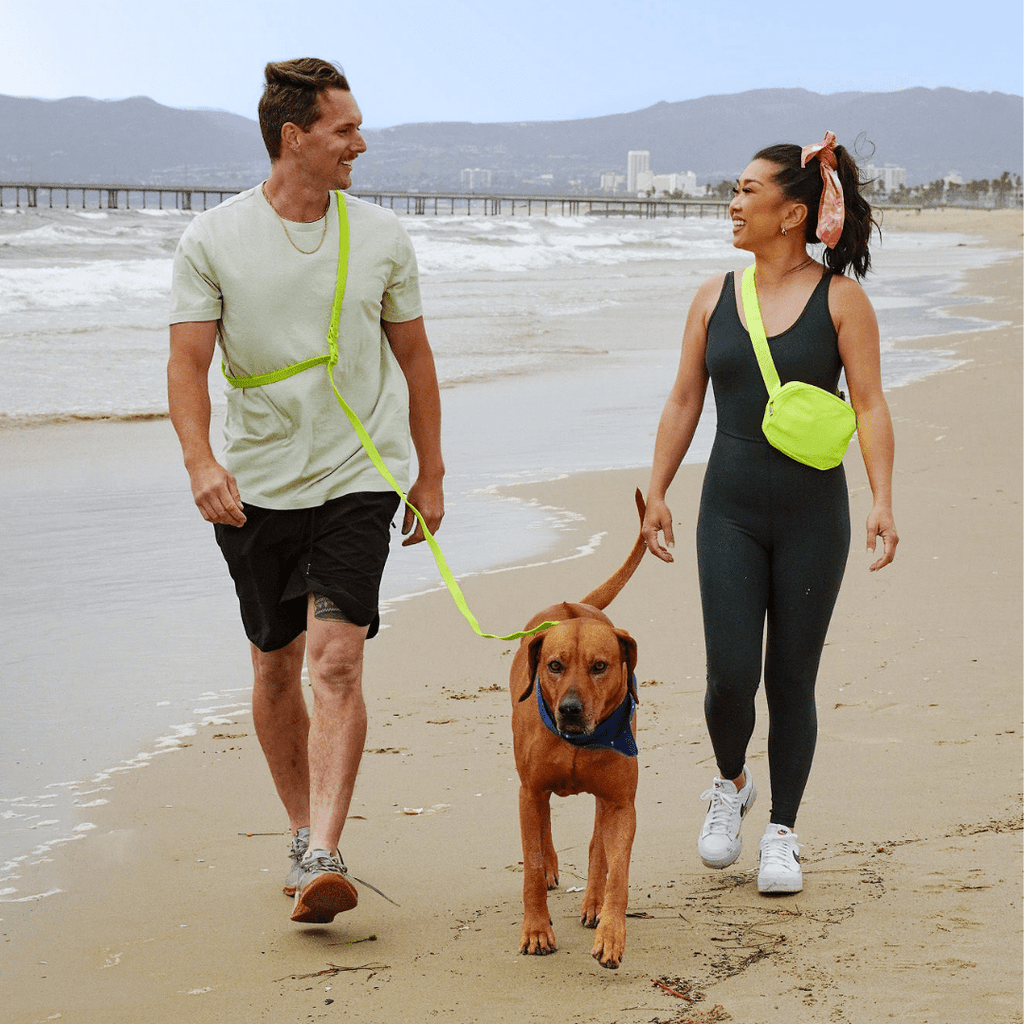 Tilley + Me PVC Handsfree Dog Leash - All Weather Waterproof Durable & Odor-Resistant