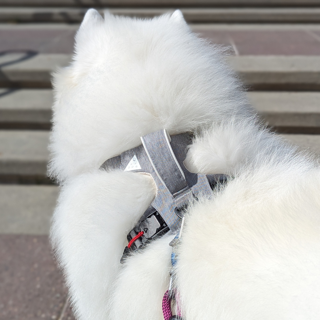 Magnetic Dog Harness - One-Hand Clip, No-Pull Design