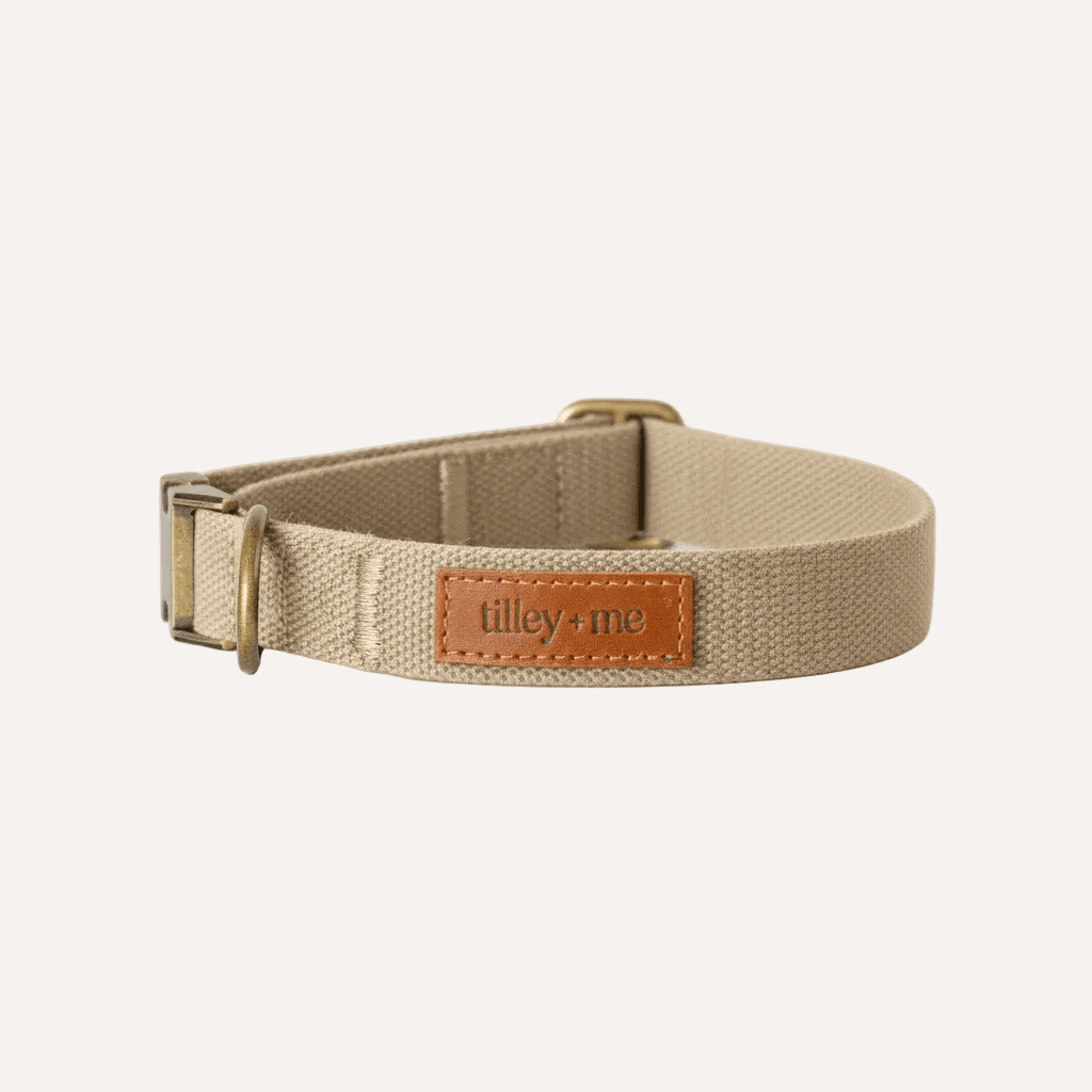 Tilley + Me Hemp Cotton Dog Collar – Durable, Adjustable, Soft – Joshua Tree