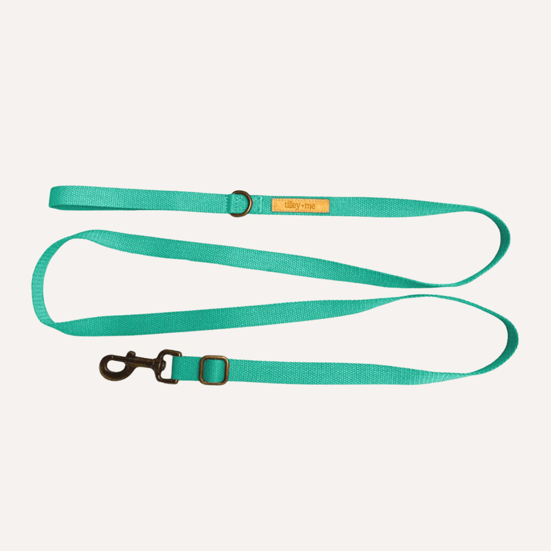 Tilley + Me Hemp Cotton Dog Leash - Durable, Sustainable, Adjustable, Lightweight & Soft
