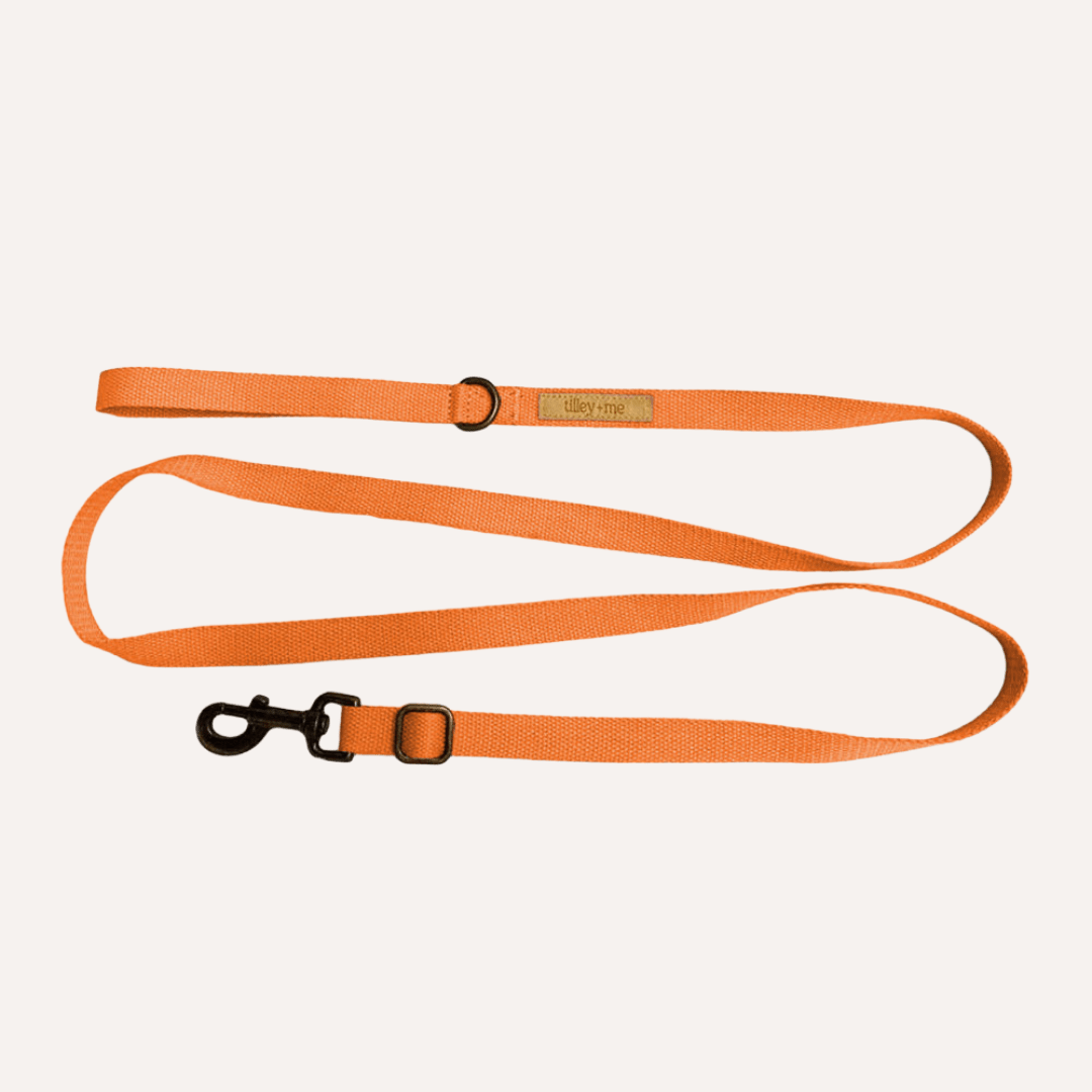 Tilley + Me Hemp Cotton Dog Leash - Durable, Sustainable, Adjustable, Lightweight & Soft