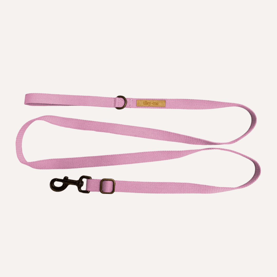 Tilley + Me Hemp Cotton Dog Leash - Durable, Sustainable, Adjustable, Lightweight & Soft