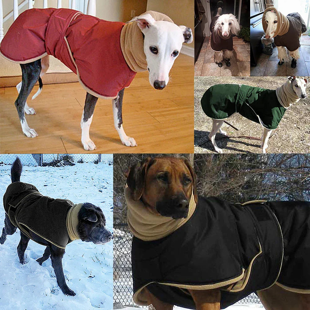 Wrap Jacket