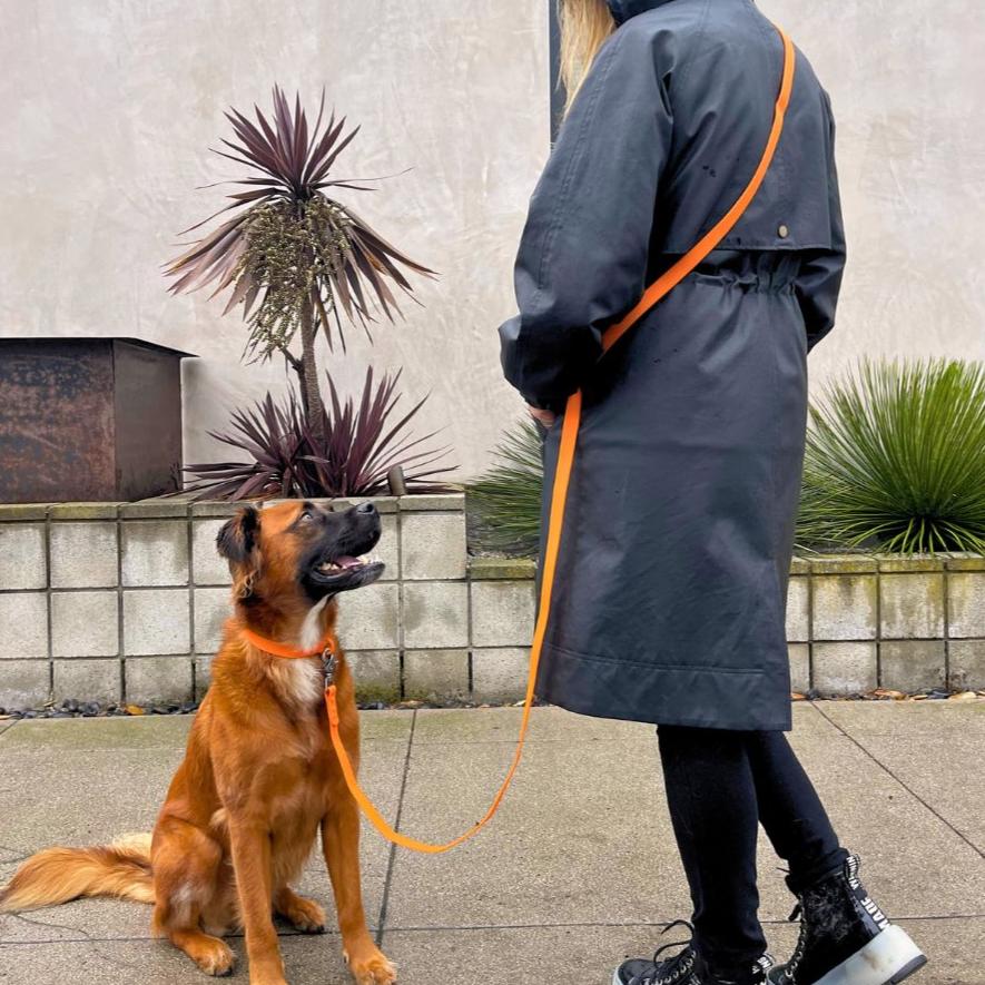 Tilley + Me PVC Handsfree Dog Leash - All Weather Waterproof Durable & Odor-Resistant