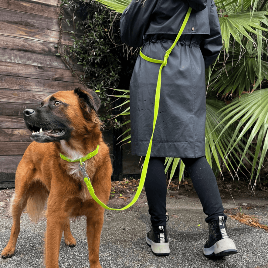 Tilley + Me PVC Handsfree Dog Leash - All Weather Waterproof Durable & Odor-Resistant