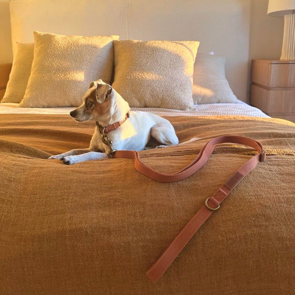 Tilley + Me Hemp Cotton Dog Leash - Durable, Sustainable, Adjustable, Lightweight & Soft