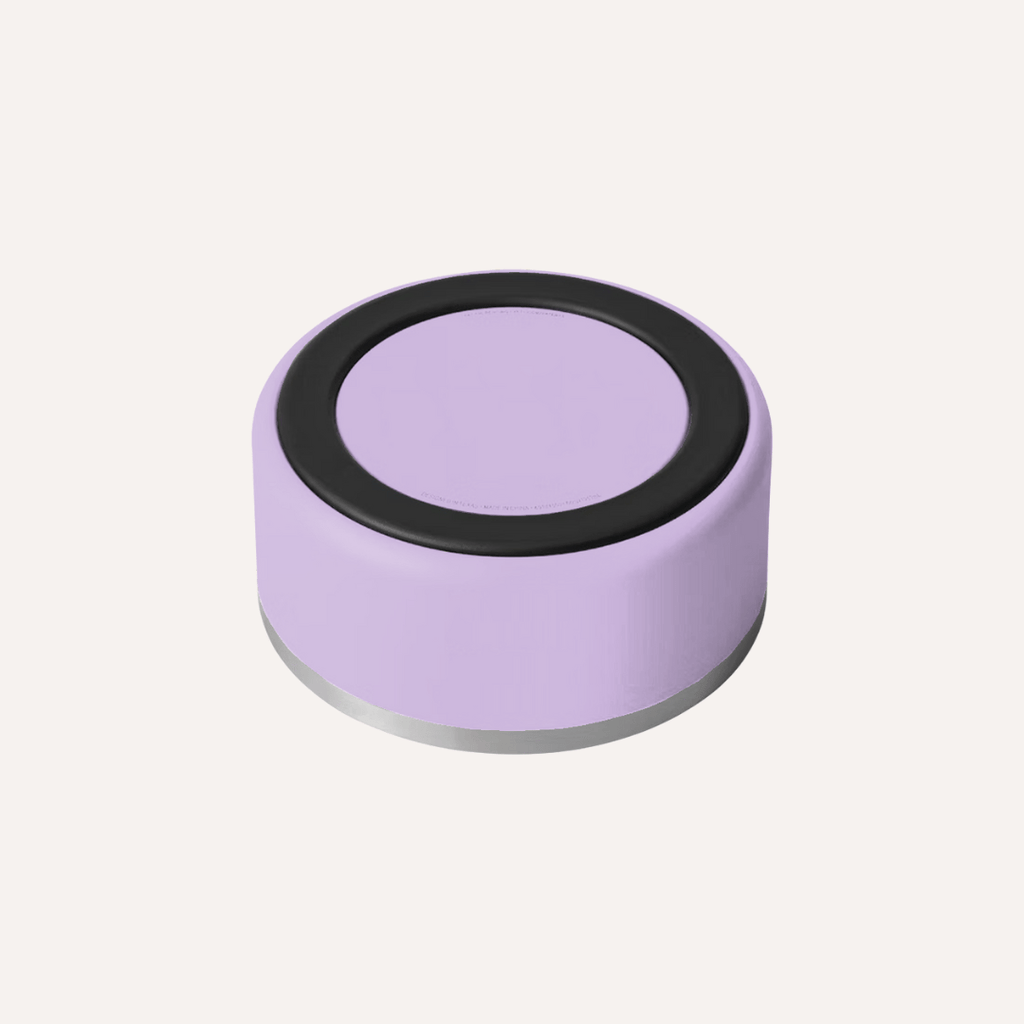 Tilley + Me Stainless Steel Pet Bowl – Non-Slip, Durable & Dishwasher Safe | 32oz and 64oz