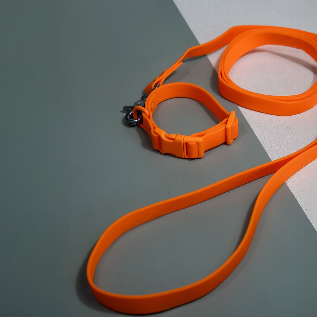 Tilley + Me PVC Handsfree Dog Leash - All Weather Waterproof Durable & Odor-Resistant