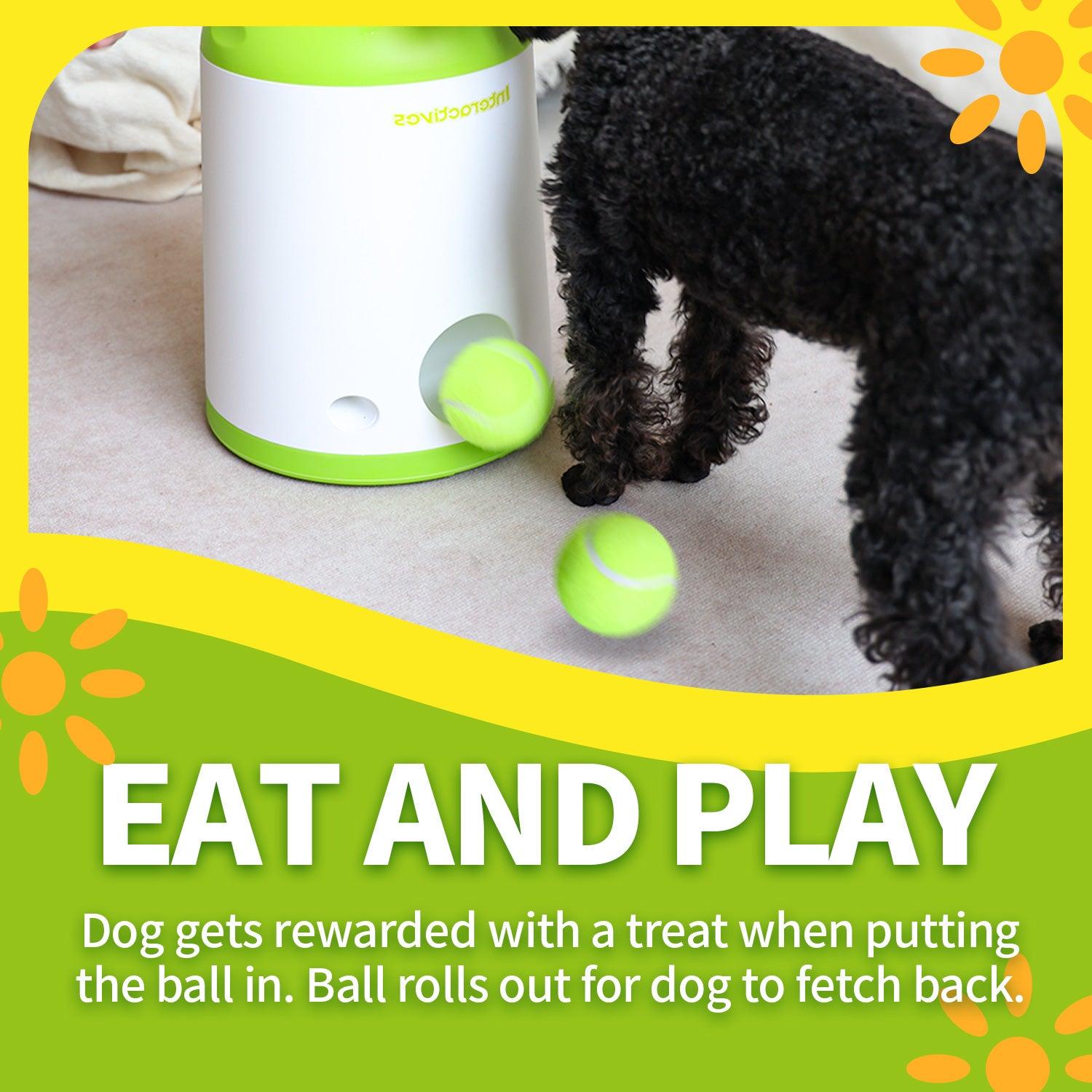 Interactive Fetch-N-Treat Dog Toy