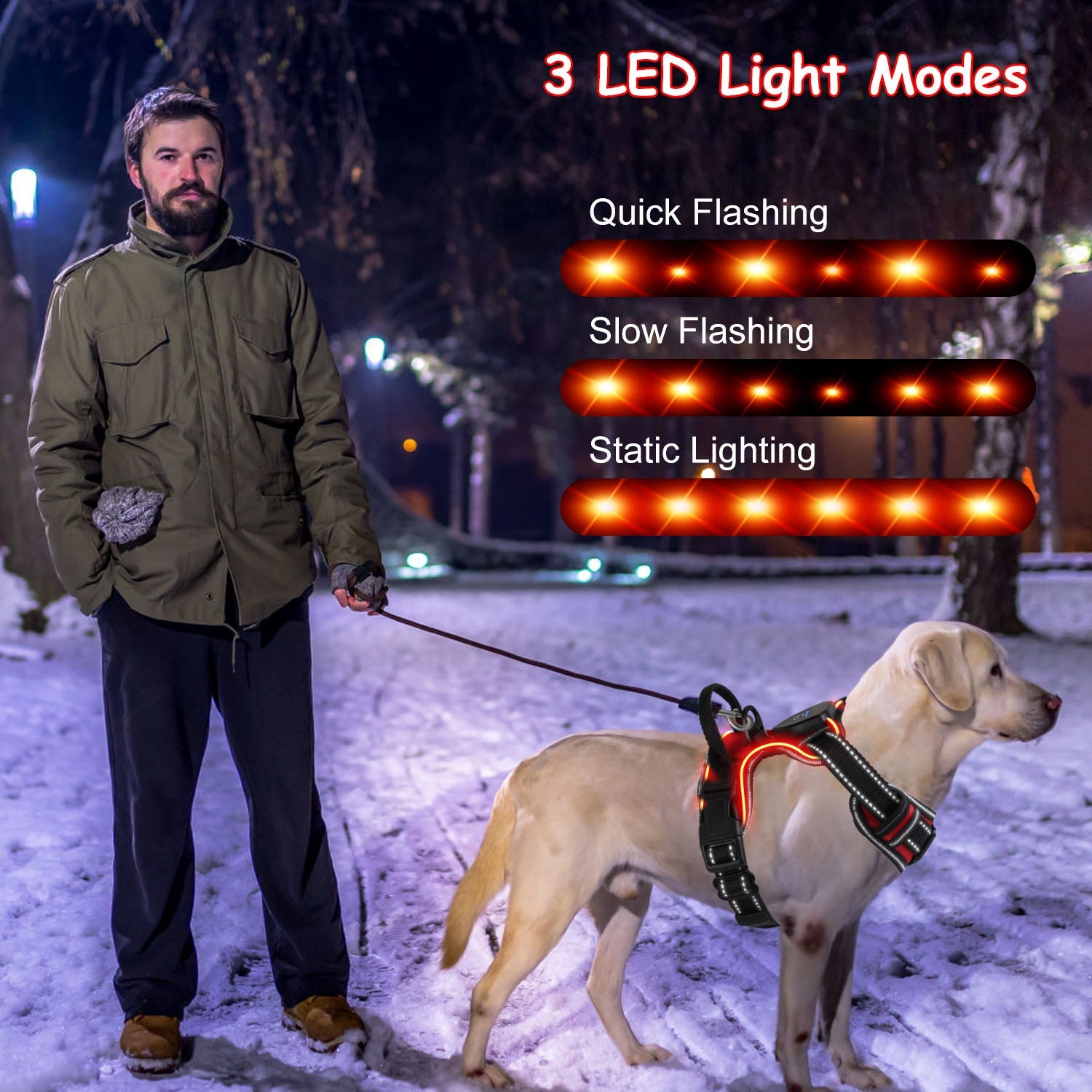 Light Up Dog Harness
