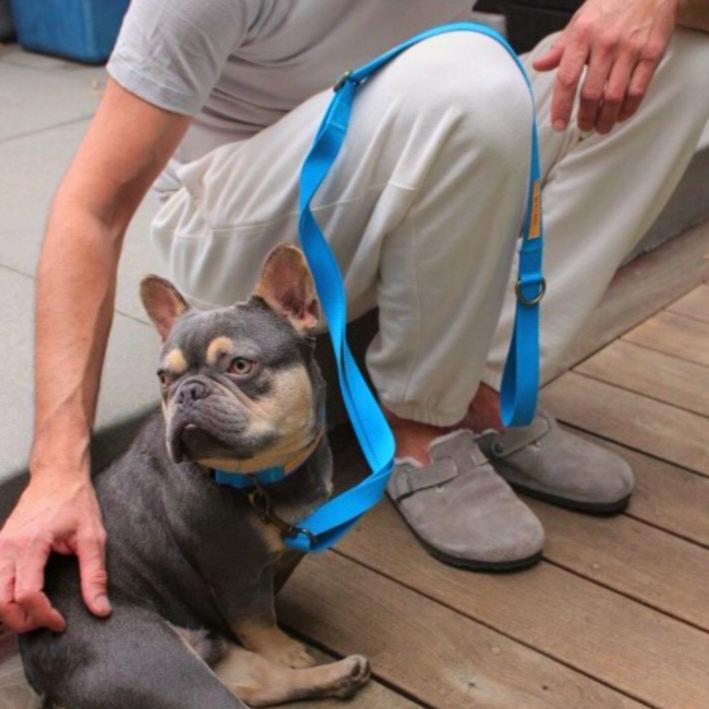 Tilley + Me Hemp Cotton Dog Leash - Durable, Sustainable, Adjustable, Lightweight & Soft
