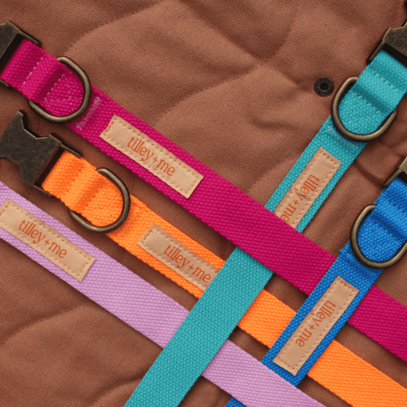 Tilley + Me Hemp Cotton Dog Leash - Durable, Sustainable, Adjustable, Lightweight & Soft