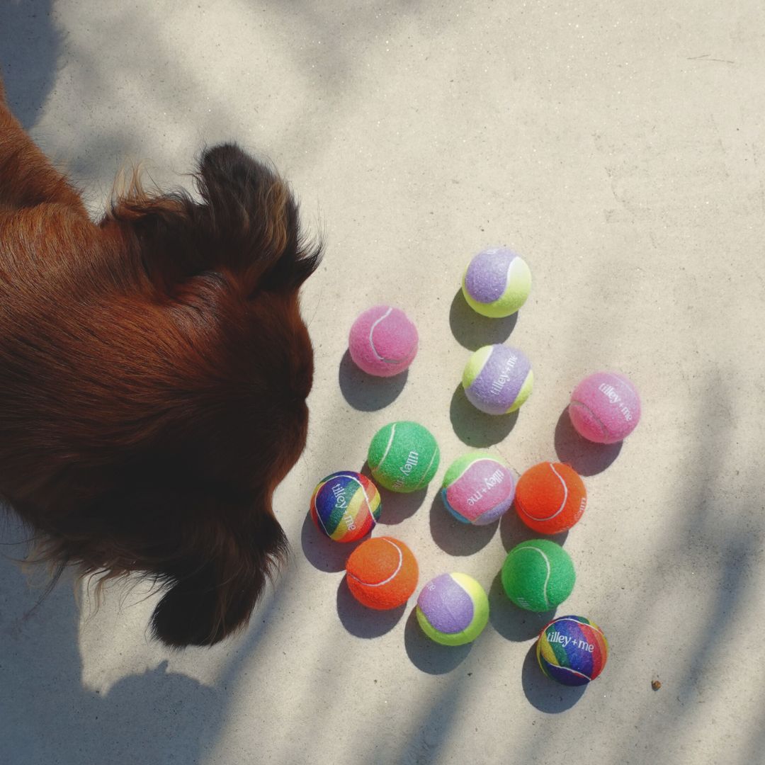 Tilley + Me Tennis Ball for Dogs