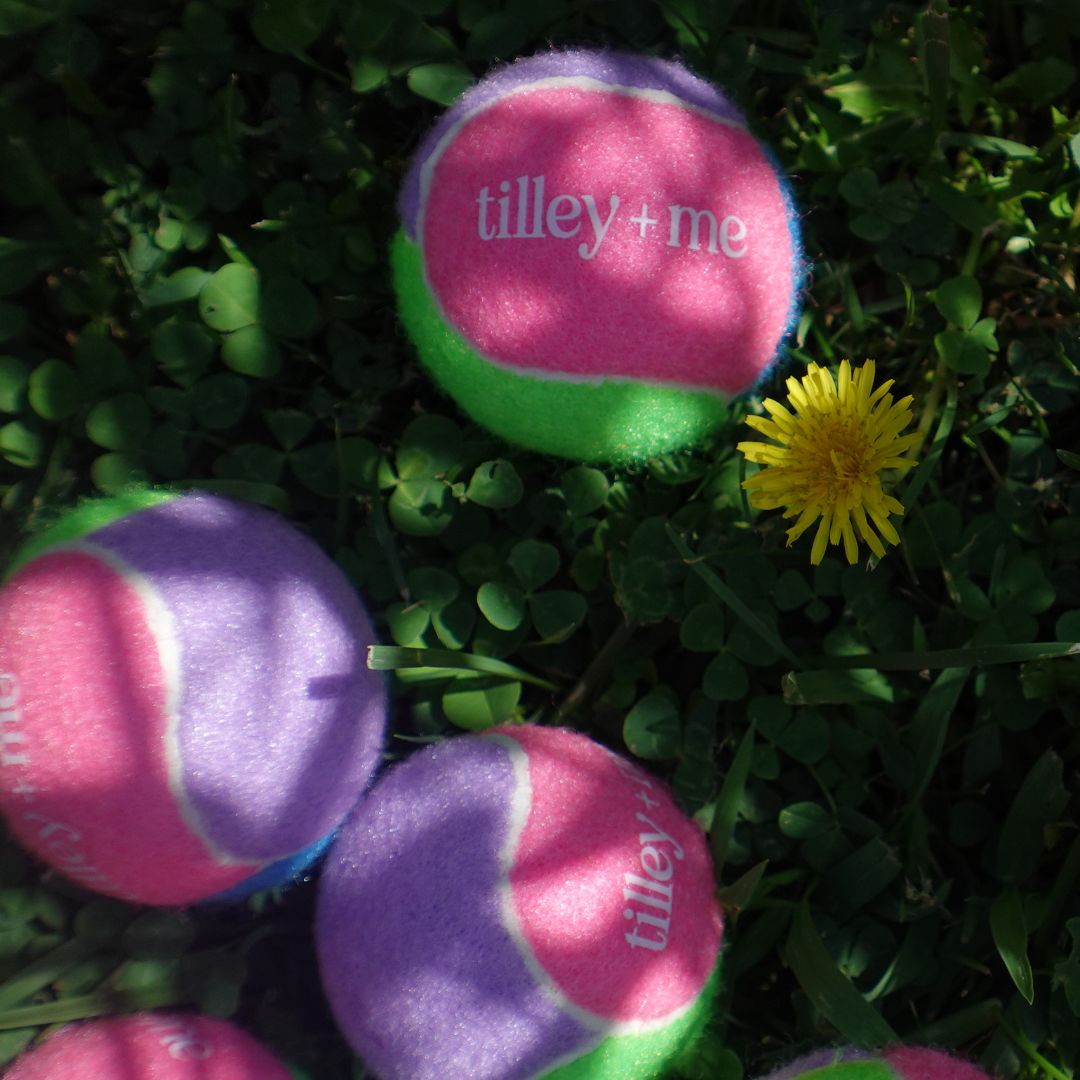 Tilley + Me Tennis Ball for Dogs